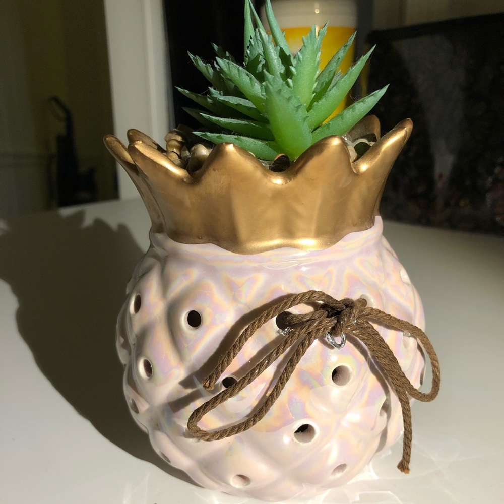 Faux Plant with Rocks